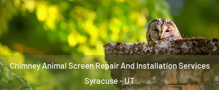  Chimney Animal Screen Repair And Installation Services Syracuse - UT
