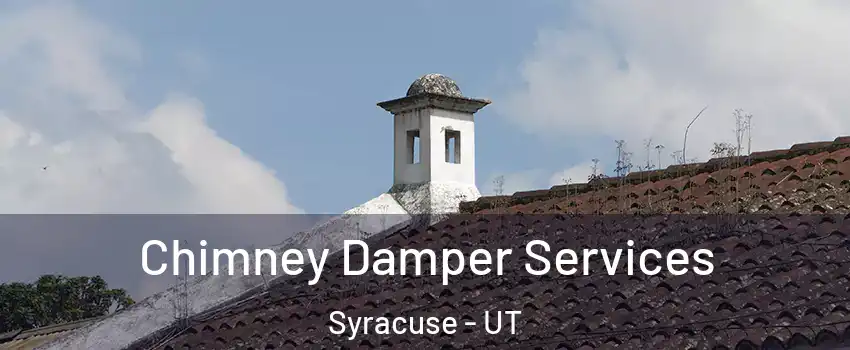  Chimney Damper Services Syracuse - UT
