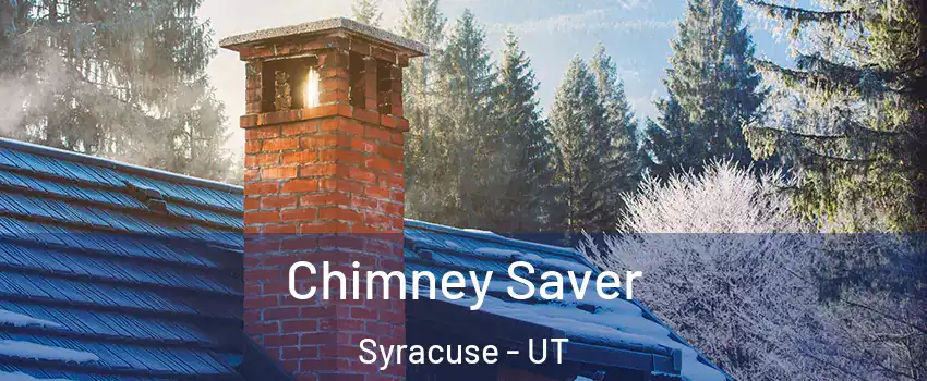 Chimney Saver Syracuse - UT