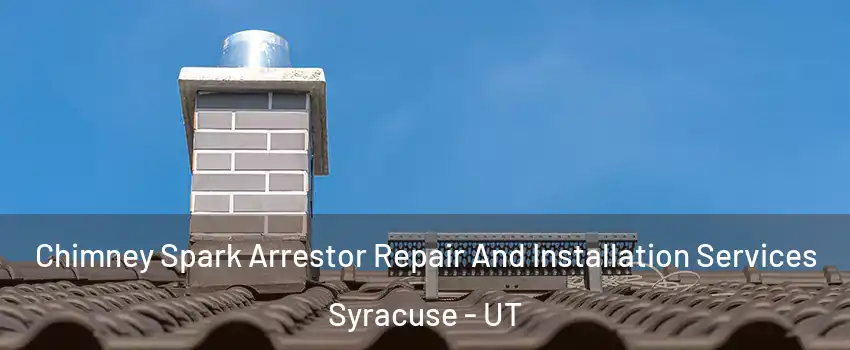  Chimney Spark Arrestor Repair And Installation Services Syracuse - UT