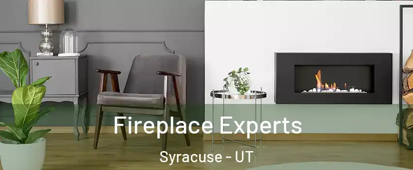 Fireplace Experts Syracuse - UT