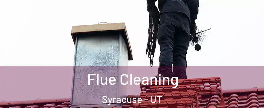  Flue Cleaning Syracuse - UT