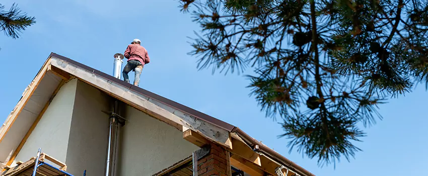 Birds Removal Contractors from Chimney in Syracuse, UT