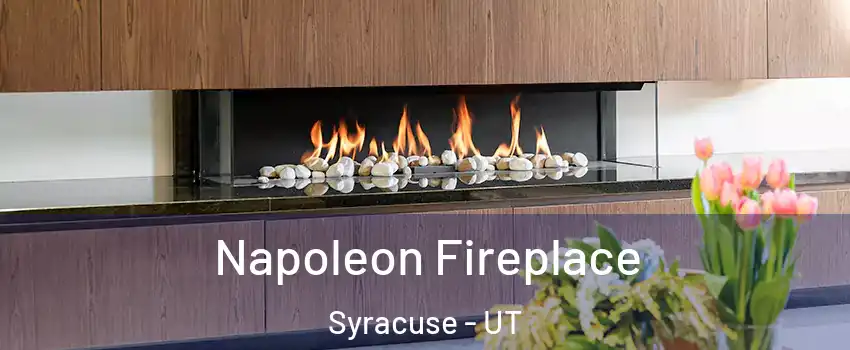  Napoleon Fireplace Syracuse - UT