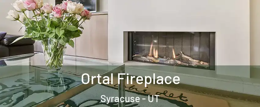  Ortal Fireplace Syracuse - UT