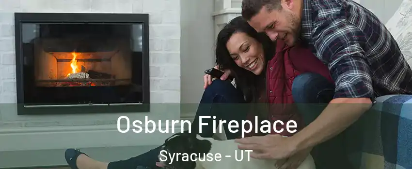  Osburn Fireplace Syracuse - UT